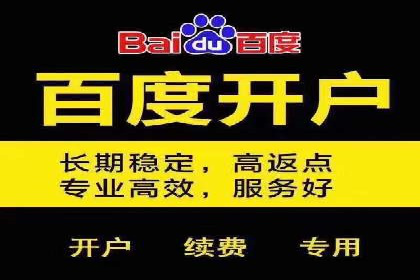 社交平台信息流广告推广的典型案例分析